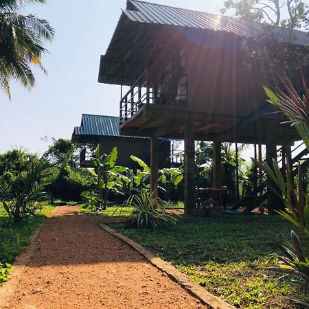 Sigiriya Paddy Field Hut Villa ห้อง รูปภาพ