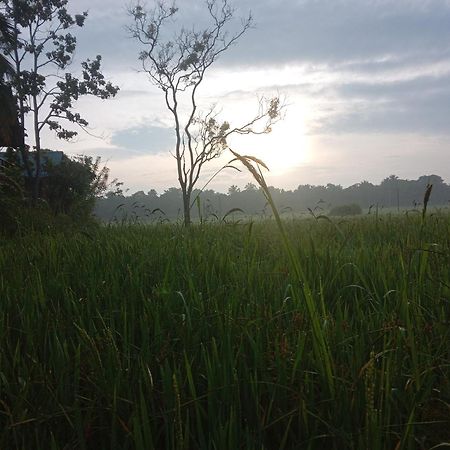 Sigiriya Paddy Field Hut Villa ห้อง รูปภาพ