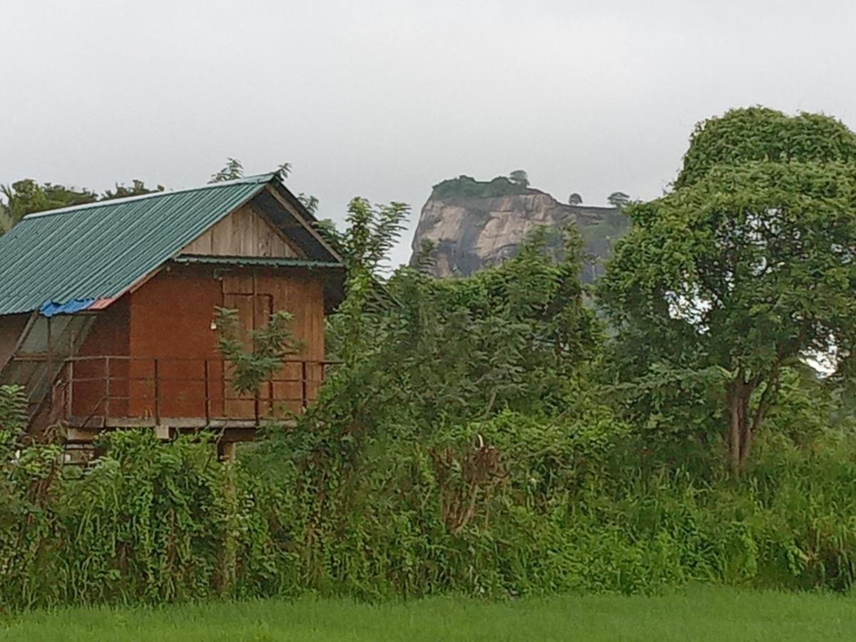 Sigiriya Paddy Field Hut Villa ภายนอก รูปภาพ