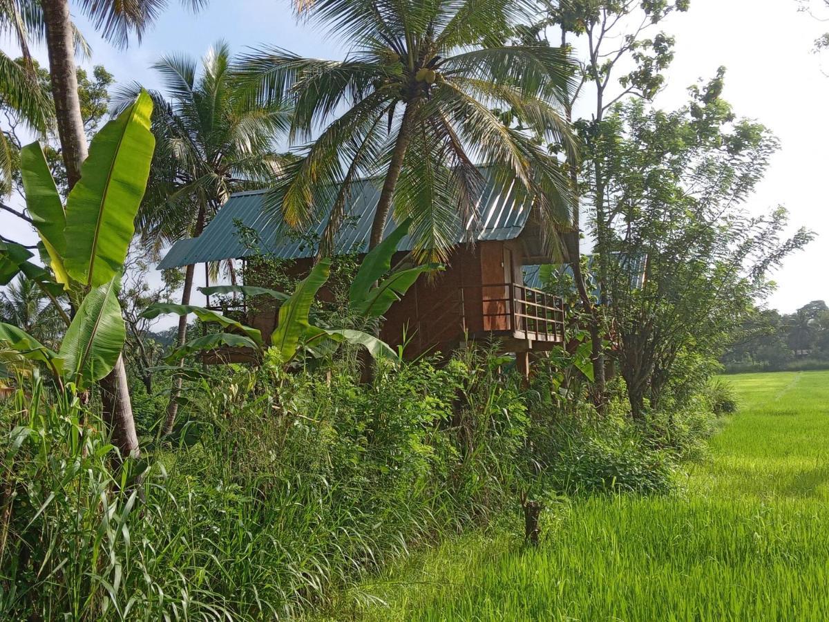 Sigiriya Paddy Field Hut Villa ภายนอก รูปภาพ
