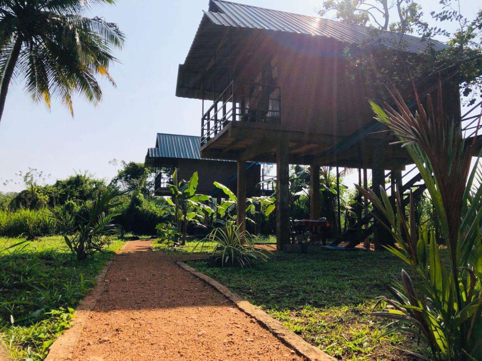 Sigiriya Paddy Field Hut Villa ห้อง รูปภาพ