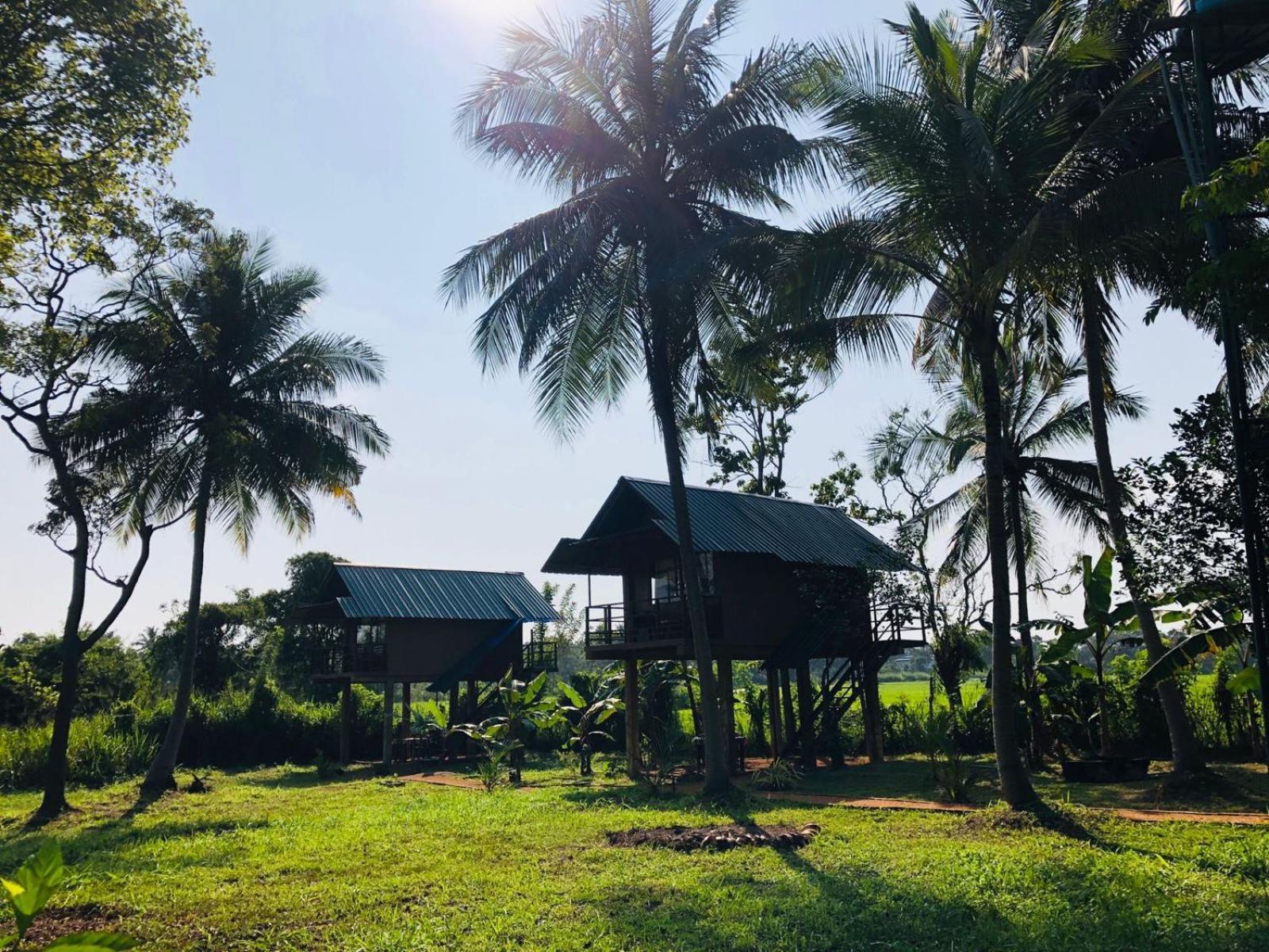 Sigiriya Paddy Field Hut Villa ห้อง รูปภาพ